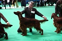 Crufts2011 644